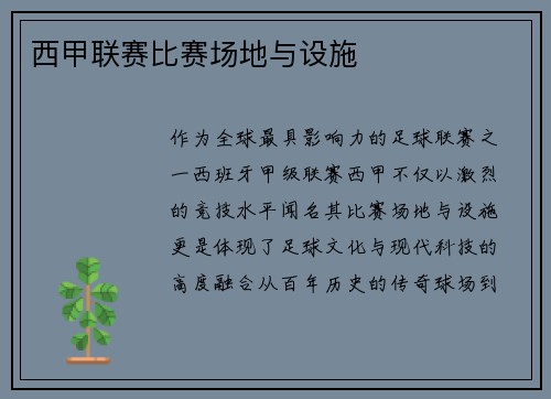 西甲联赛比赛场地与设施