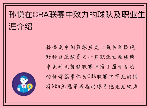 孙悦在CBA联赛中效力的球队及职业生涯介绍