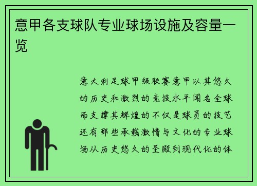 意甲各支球队专业球场设施及容量一览
