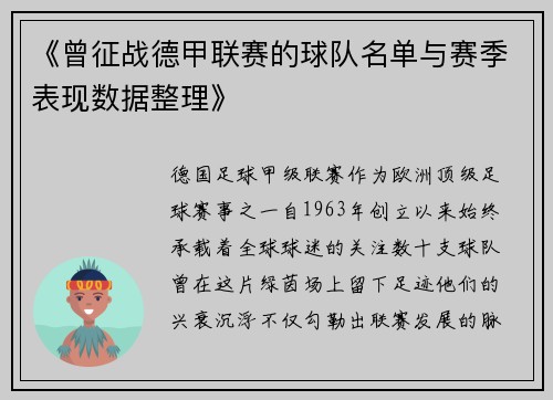《曾征战德甲联赛的球队名单与赛季表现数据整理》